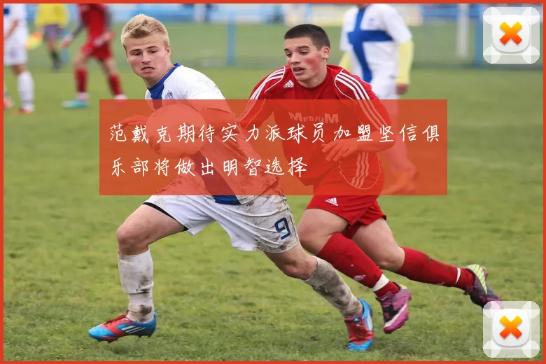 范戴克期待实力派球员加盟坚信俱乐部将做出明智选择